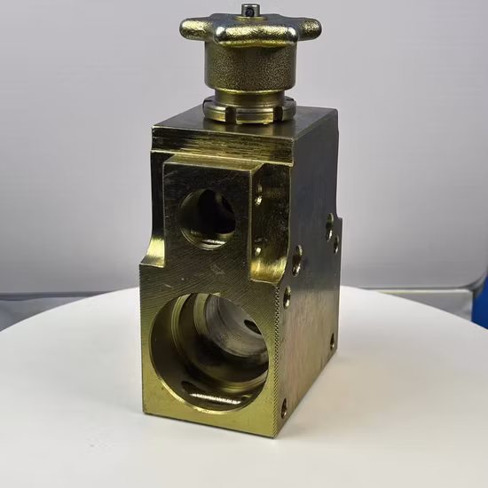 メーカー直販インベストメント鋳造304/316ステンレス鋼逆止弁/配管システム用交換部品